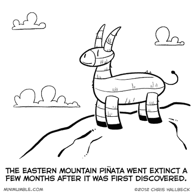 #81 – Bash