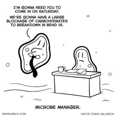 #108 – Overtime