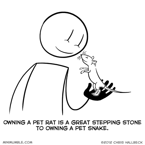 #60 – Swallow