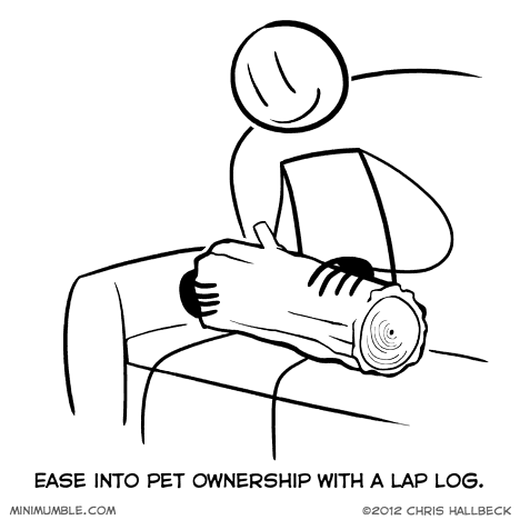 #80 – Bark