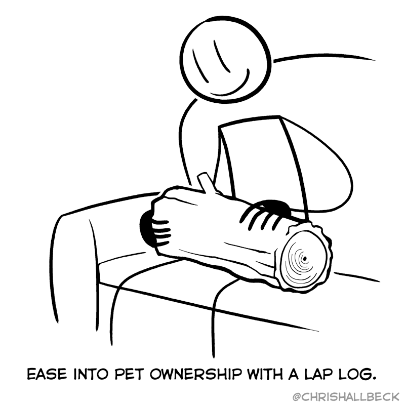 #80 – Bark