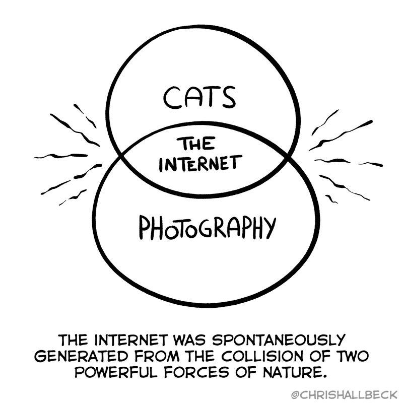 #322 – Whiskered